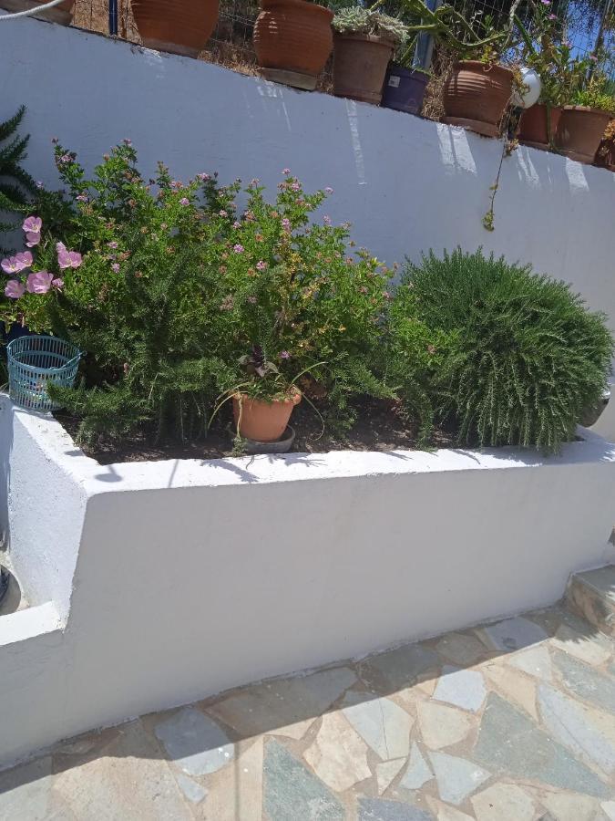 Apartamento To limanaki Finikounta Exterior foto