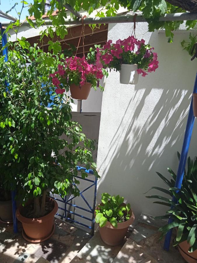 Apartamento To limanaki Finikounta Exterior foto